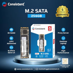 Consistent SSD M2 256GB (6Gb/S)