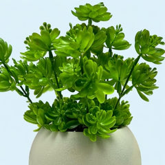 SKYGREEN Luxury Artificial Green Bonsai Tree with Stylish Decorative Pot for Modern Home, Office Desk & Shelf Decor | (BN-104)