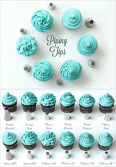 SYGA Set of Multiple Pattern Russian Nozzles Cake Nozzles Cake Decoration Pastry Nozzle with Coupler and 10 Icing Bag (Set of 12 Nozzles Set_1)
