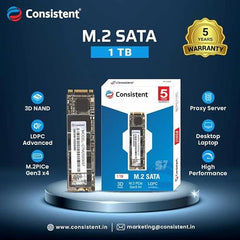 Consistent SSD M2 256GB (6Gb/S)