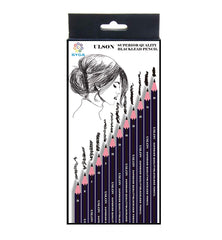 SYGA Professional Sketch and Drawing Pencils ?Art Pencil Box Contains 12 Pieces Set B 2B 3B 4B 5B 6B 7B 8B HB H 2H F