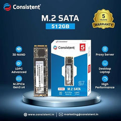 Consistent SSD M2 256GB (6Gb/S)