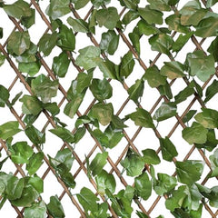 Go Hooked Durable Plastic Artificial Grass Fence for Outdoor Decor Plastic Versatile Maintenance Free Easy Install Weather Resistant UV Decorative Protected Green Pack of 1