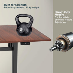 Jin Office Octave Height Adjustable Desk Electric | Sit Stand Table, 80 Kg Wt. Cap, 2 Year Warranty| Standing Desk with Memory Preset, Cup Holder| Stability Crossbar| Brown 1200*750mm/25mm Thick Top