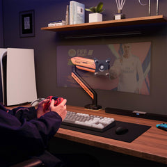 ETHU Single Heavy Duty Monitor Arm for 17-42 inches Monitors with 30 RGB Lighting Effects,Holds 15KG/33lbs,Ultrawide Monitor Arm for Curved Flat Monitors (Yellow)