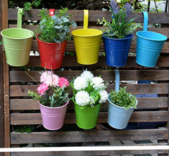 Syga Iron Hanging Planter Pot, Multicolour, 10x8 CM, 10 Pieces