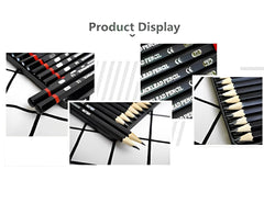 SYGA Professional Sketch and Drawing Pencils ?Art Pencil Box Contains 12 Pieces Set B 2B 3B 4B 5B 6B 7B 8B HB H 2H F