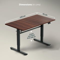 Jin Office Octave Height Adjustable Desk Electric | Sit Stand Table, 80 Kg Wt. Cap, 2 Year Warranty| Standing Desk with Memory Preset, Cup Holder| Stability Crossbar| Brown 1200*750mm/25mm Thick Top