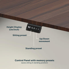Jin Office Octave Height Adjustable Desk Electric | Sit Stand Table, 80 Kg Wt. Cap, 2 Year Warranty| Standing Desk with Memory Preset, Cup Holder| Stability Crossbar| Brown 1200*750mm/25mm Thick Top