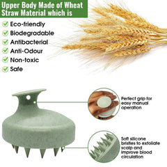 MOMISY Scalp Massager Shampoo Brush, Eco-Friendly Wheat Straw Body With Soft Silicon Bristles, Hair Scalp Scrubber, Scalp Exfoliator | Dandruff Removal, Prevents Hair Loss For Men, Women (Green)