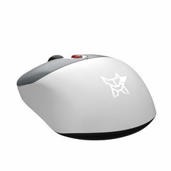Arctic Fox ProMaxe Wireless Mouse | 2400 DPI |2.4 GHz with USB Nano Receiver | High Precision Optical Tracking| for PC/Mac/Laptop - Cool Gray