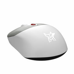 Arctic Fox ProMaxe Wireless Mouse | 2400 DPI |2.4 GHz with USB Nano Receiver | High Precision Optical Tracking| for PC/Mac/Laptop - Cool Gray
