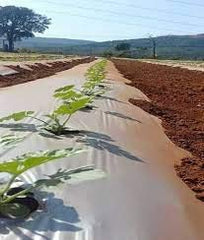 Siddhi Jai Hari Plastic Mulching Film 30 Micron | 3.25 Feet Width x 400 Meter Length | Agricultural Mulching Paper for Vegetable Farming, Crop Beds, Nursery & Gardening | 1000mm Width