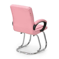 RATISON Special Director Principal Manager Office Visitor with arm Rest with Double Pipe Frame and Cushioned seat Back (2, Black, Double Pipe Frame)