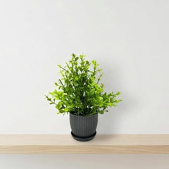 amazon basics Artificial Potted Plants, Artificial Plastic Eucalyptus Plants Small Indoor Potted Houseplants, Small Faux Plants for Home Decor Bathroom Office Farmhouse (Set of 8)