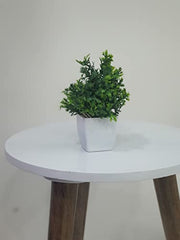 Litleo Plastic Artificial Plants Mini, Eucalyptus Potted Faux Decorative Grass Plant For Home Decor, Indoor, Office, Desk, Shelf, Table Decoration (Pack Of 4), Green