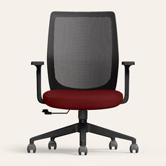 Interio by Godrej Curv Premium Mesh Wide Back Ergonomic Chair | Work from Home/Study Chair | 1-Year Warranty | Height Adjustable Chair | Heavy Duty PP Base | DIY Installation, Black