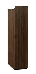 DeckUp Anya Engineered Wood 2-Door Wardrobe/Almirah (Walnut, Matte Finish)