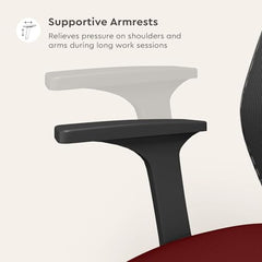 Interio by Godrej Curv Premium Mesh Wide Back Ergonomic Chair | Work from Home/Study Chair | 1-Year Warranty | Height Adjustable Chair | Heavy Duty PP Base | DIY Installation, Black