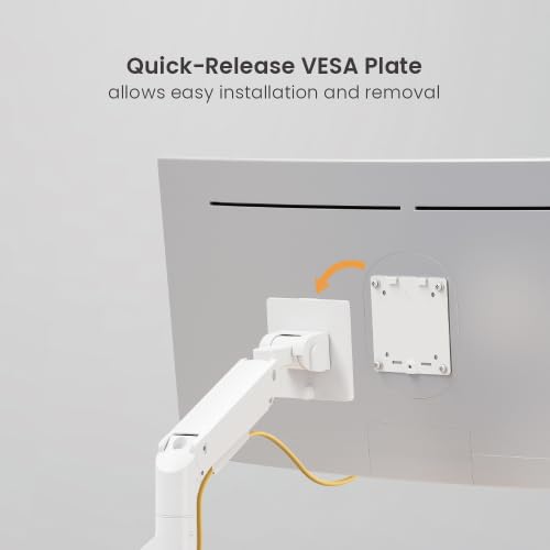 Jin Office White Monitor Stand Heavy Duty for 13"-49" Inch Monitor | Strongest Gas Spring Arm with 20KG Wt. Cap| Check VESA Holes Behind Your Monitor Supports Upto 200 * 200mm VESA