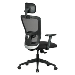 Featherlite ''Astro'' Mesh Home & Office Ergonomic Chair with, Adjustable Lumbar Support, Adjustable Armrest & DIY (High Back, Black)