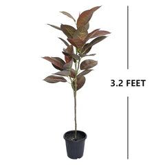AAVANA GREENS Plastic 40 Inch Artificial Flower Plant for Indoor and Outdoor, Home, Shop, Office, Restaurant Decoration Dark Green (Pack of 1) (1, Plant 8 - with Pot)