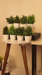 Litleo Plastic Artificial Plants Mini, Eucalyptus Potted Faux Decorative Grass Plant For Home Decor, Indoor, Office, Desk, Shelf, Table Decoration (Pack Of 4), Green