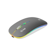 EVM EnGrip Rechargeable Wireless Mouse | 2.4GHz | Type C Charging | 1600 DPI Optical Mouse | LED Lights Ergonomic Mouse | Compatible with Laptop, PC | 1 Year Warranty (EWLM-360-1) Sliver