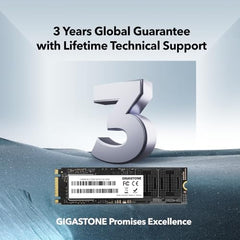 Gigastone 【NAS Certified】 High Endurance M.2 SSD 2TB (2-Pack) for Data Cache and Fast Boot, NVMe PCIe Gen3 Up to 2600MB/s, TLC Flash with SLC Caching, 24/7 Reliable for Gaming/PC/NAS, 5-Year Warranty
