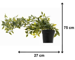 Kuber Industries 3 Pcs Set Plastic Mini Artificial Plants with Pot | Table Top & TV Unit Decorative Items for Living Room | Faux Plants for Home Decor & Office Desk | Man Shape - Black