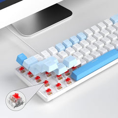 MageGee Portable 60% Mechanical Gaming Keyboard, MK-Box LED Backlit Compact 68 Keys Mini Wired Office Keyboard with Blue Switch for Windows Laptop PC Mac - Blue/White