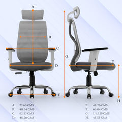 Furnivo Titan Ergonomic Office Chair for Home & Office | Adjustable Armrests | 120 Recline | Lumbar Support | Thick Cushioned Seat | Heavy-Duty Base | 3 Years Warranty (Eco Black Red)