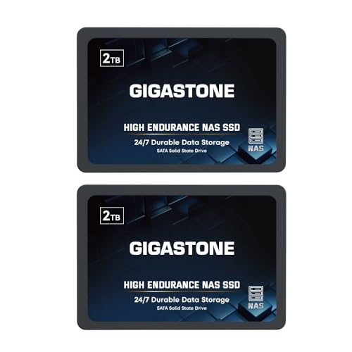 Gigastone Enterprise 2TB NAS SSD (2-Pack) 24/7 High Endurance Business Server Homelab Network Attached Storage Cache RAID 2.5" SATA III Internal Solid State Drive 3D NAND SLC Cache Memory Expansion