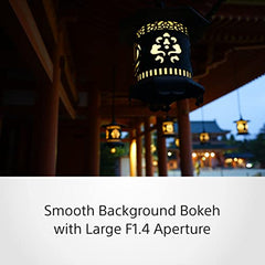 Sony E Mount Distagon® T* FE 35mm F1.4 ZA Full-Frame Lens (SEL35F14Z) | Standard Prime | for Portrait Photography