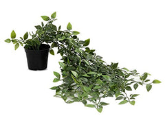 Kuber Industries 3 Pcs Set Plastic Mini Artificial Plants with Pot | Table Top & TV Unit Decorative Items for Living Room | Faux Plants for Home Decor & Office Desk | Man Shape - Black