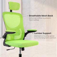 Casa Haus Italia Premium Leatherette Office Chair for Work | Boss Chair, Ergonomic Executive, Luxurious Cushioned Arms & Seat, 2 Point Back Massager, Heavy Duty Metal Base (Burgundy)