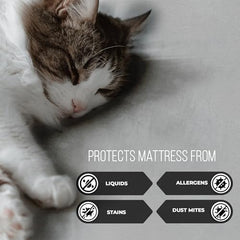 MollisHomes Mattress Protector Single Size, 72x36 Inches, Grey
