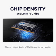 EVM 8GB DDR4 Desktop RAM 3200MHz | Long-DIMM – 1.2V Low Voltage |288-PIN Pin, Intel & AMD Compatible | High-Speed PC Memory Upgrade | 10 Year Warranty (EVMT8G3200U88P)