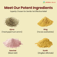 Herbal Hills Aramhills Powder, 100 g, Pack of 5