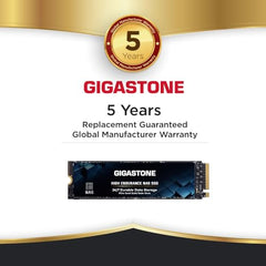 Gigastone 【NAS Certified】 High Endurance M.2 SSD 1TB (2-Pack) for Data Cache and Fast Boot, NVMe PCIe Gen3 Up to 2200MB/s, TLC Flash with SLC Caching, 24/7 Reliable for Gaming/PC/NAS, 5-Year Warranty