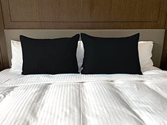 Soft Pillow Covers 19 x 29 Inches - Egyptian Cotton 600 Thread Count Set of 2 Pillow Cover Set Envelope Closure Hotel Quality Pillowcase - Beige