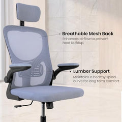 Casa Haus Italia Premium Leatherette Office Chair for Work | Boss Chair, Ergonomic Executive, Luxurious Cushioned Arms & Seat, 2 Point Back Massager, Heavy Duty Metal Base (Burgundy)