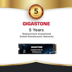 Gigastone 【NAS Certified】 High Endurance M.2 SSD 2TB (2-Pack) for Data Cache and Fast Boot, NVMe PCIe Gen3 Up to 2600MB/s, TLC Flash with SLC Caching, 24/7 Reliable for Gaming/PC/NAS, 5-Year Warranty
