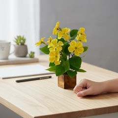 fancymart Artificial Flower Plant Home Décor with Small Size Pot | Pack of 2 | Plant Hanging for Home Decor | Office Decor (DESIGN-01)