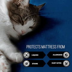 MollisHomes Mattress Protector Single Size, 72x36 Inches, Grey