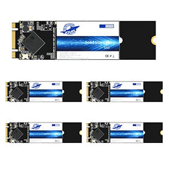 Dogfish 256GB SSD for MacBook Air A1369 A1370, Solid State Drive Capacity Upgrade for 2010 2011 MacBook Air A1370(EMC 2393/2471), A1369(EMC 2392/2469) (OS Pre-Installed)