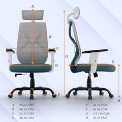Furnivo Titan Ergonomic Office Chair for Home & Office | Adjustable Armrests | 120 Recline | Lumbar Support | Thick Cushioned Seat | Heavy-Duty Base | 3 Years Warranty (Eco Black Red)