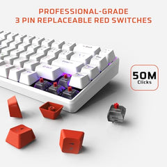 EvoFox Katana S Mini Mechanical Keyboards Wireless | Tri-Mode (3X BT, 2.4GHz & Wired) Connectivity | Hot-Swappable Red Switches | 68-Key Compact Layout | Rainbow Backlight | Rechargeable Battery
