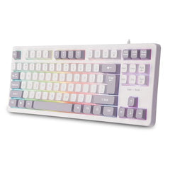 GEONIX Vintage KB4 Retro Style Chiclet Style Keyboard with 87 Keys, Rainbow Backlight, PVC Cable, Durable Body, Compact & Slim Design (White Grey)