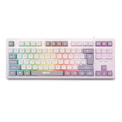 GEONIX Vintage KB4 Retro Style Chiclet Style Keyboard with 87 Keys, Rainbow Backlight, PVC Cable, Durable Body, Compact & Slim Design (White Grey)